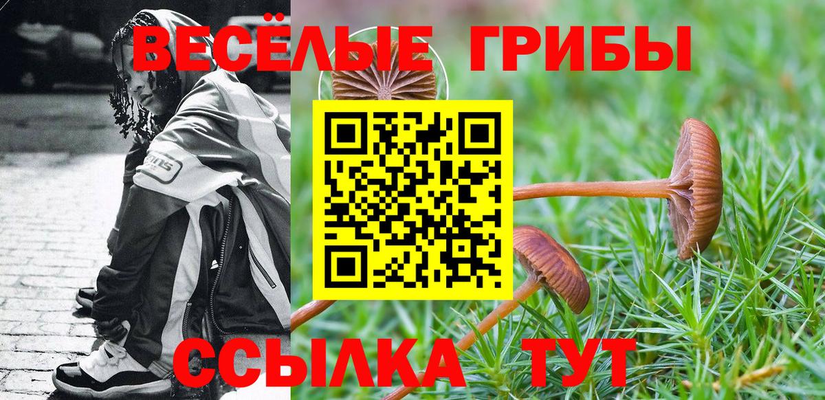 где купить наркоту  Псилоцибиновые грибы ЛСД  Зерноград  Вход с VPN  Галлюциногенные грибы мицелий 