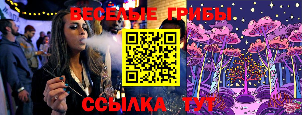 Псилоцибиновые грибы Psilocybine cubensis Зерноград
